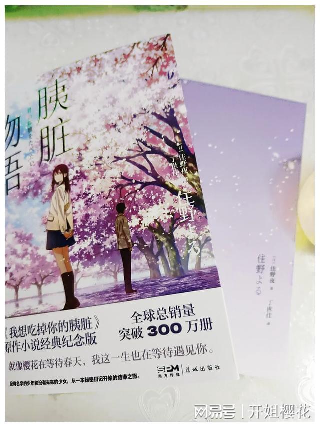 救援度假的法官